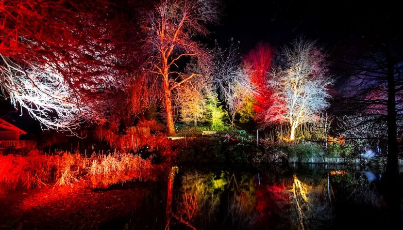 Light Up Hilliers